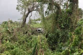 Garance : La Réunion, l'île en phase de sauvegarde