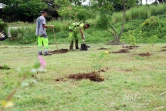 opération 1 naissance 1 arbre