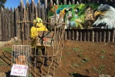 manifestation zoo étang salé extinction rebellion 3 juillet 2021
