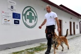 Un malinois entraîné à la recherche de mines avec son maître au centre de dressage global de l'Aide populaire norvégienne (APN), le 20 septembre 2020, près de Sarajevo, en Bosnie