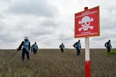 Des démineurs de l'ONG Halo dans un champ du village de Ievguenivka, dans la région de Mykolaïv, le 9 avril 2023 en Ukraine