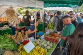 Le Département célèbre la 19ème édition de la fête chouchou