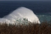 houle en bord de mer avec de grosses vagues