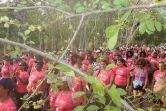 Odyssea 2014