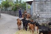 expulsion de famille à  la possession 