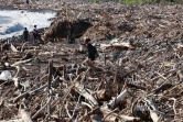 ramassage déchets après le cyclone 