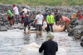 prépartion des canaux pour la pêche du bichique 