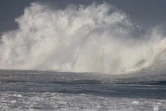 houle en bord de mer avec de grosses vagues