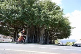 76ème édition du tour cycliste de La Réunion