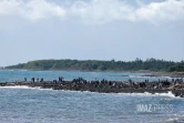 ramassage déchets après le cyclone 