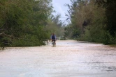 cyclone dina 22 janvier 2002