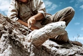 Le paléontologue Yves Coppens dégage un fossile de défense d'éléphant vieux de 3 millions d'années, le 1er janvier 1975