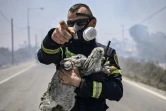 Un pompier tient des lapins et un chat, rescapés des flammes, à proximité des villages grecs de Kiotari et Gennadi, sur l'île de Rhodes, le 24 juillet 2023