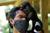 Un bébé singe laineux grimpé sur la tête de Jhon Jairo Vasquez, fondateur du refuge de Mikuchiga, près de Leticia, le 18 novembre 2020 en Amazonie colombienne