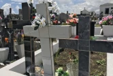 Toussaint, cimetière, fleurs, croix