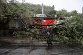 cyclone intense Batsirai 3 février 2022 ilet quinquina