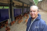 ferme de poulet bio péi 