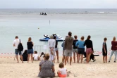 baleineau bloqué dans le lagon 