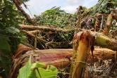 Cyclone Belal
