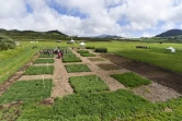 Journée de l'herbe gestion des prairies