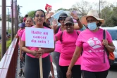 Saint-Benoît : 300 personnes pour la marche rose 