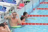 natation meetig 