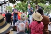 rassemblement soutien antilles