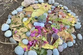 Land art