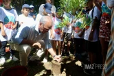 plantations d'arbres pour le climat