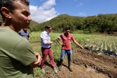 Garance : La Réunion, l'île en phase de sauvegarde