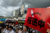 Lors de la marche du 9 juin 2019 à Hong Kong, organisée pour dénoncer un projet du gouvernement local d'autoriser des extraditions vers la Chine continentale