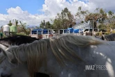 cyclone garance chevaux 