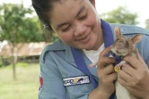 Photo non datée de Magawa, un rat africain géant détecteur de mines au Cambodge, fournie le 25 septembre 2020 par l'association britannique de protection des animaux PDSA qui lui a décerné une médaille d'or pour sa bravoure 
