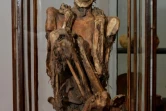 La momie amérindienne du MAH à Bruxelles, le 13 juillet 2020