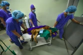 Une chienne "mère porteuse" quitte le bloc opératoire après avoir été inséminée à la Sooam Biotech Research Foundation, spécialiste du clonage d'animaux domestique, le 29 juin 2016 à Séoul