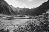 "20 ans de paysage réunionnais" : un livre pour retracer l'évolution de La Réunion face au changement climatique