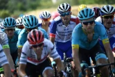 Le Français Thibaut Pinot (c) lors de la 16e étape du Tour de France le 23 juillet 2019