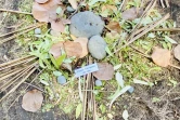 Land art