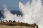 houle en bord de mer avec de grosses vagues