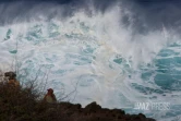 Maintien de la vigilance jaune vagues - submersion entre le Port et Saint-Philippe