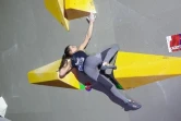 Oriane Bertone coupe d'europe escalade bloc