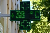 Un thermomètre de pharmacie indique une température de 38°C, le 1er août 2022 à Nîmes, dans le Gard