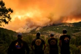 Des pompiers observent les flammes évoluant dans une vallée de la région de Forest Ranch, en Californie, le 26 juillet 2024