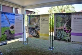 exposition "Histoire des Hommes et des espèces à La Réunion" AVE2M