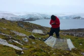 Marisol Pizarro, docteure en biotechnologie de l'Université de Santiago du Chili, étudie les réactions des plantes aux variations de températures, le 2 février 2018 sur l'île du Roi-George, en Antarctique