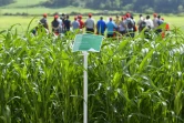 Journée de l'herbe gestion des prairies