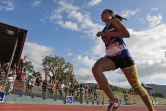 Meeting athlétisme saint dénis 2016