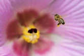 photographe amateur Xavier Agnus