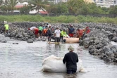 prépartion des canaux pour la pêche du bichique 