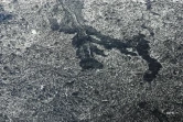 neige 2006